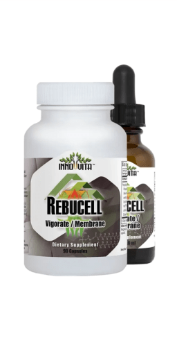 6700 Rebucell Vigorate/Membrane 90 Capsules 