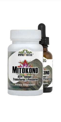 6500  Mitokond ATP-Adapt/Transform/Preserve 1 oz Tincture